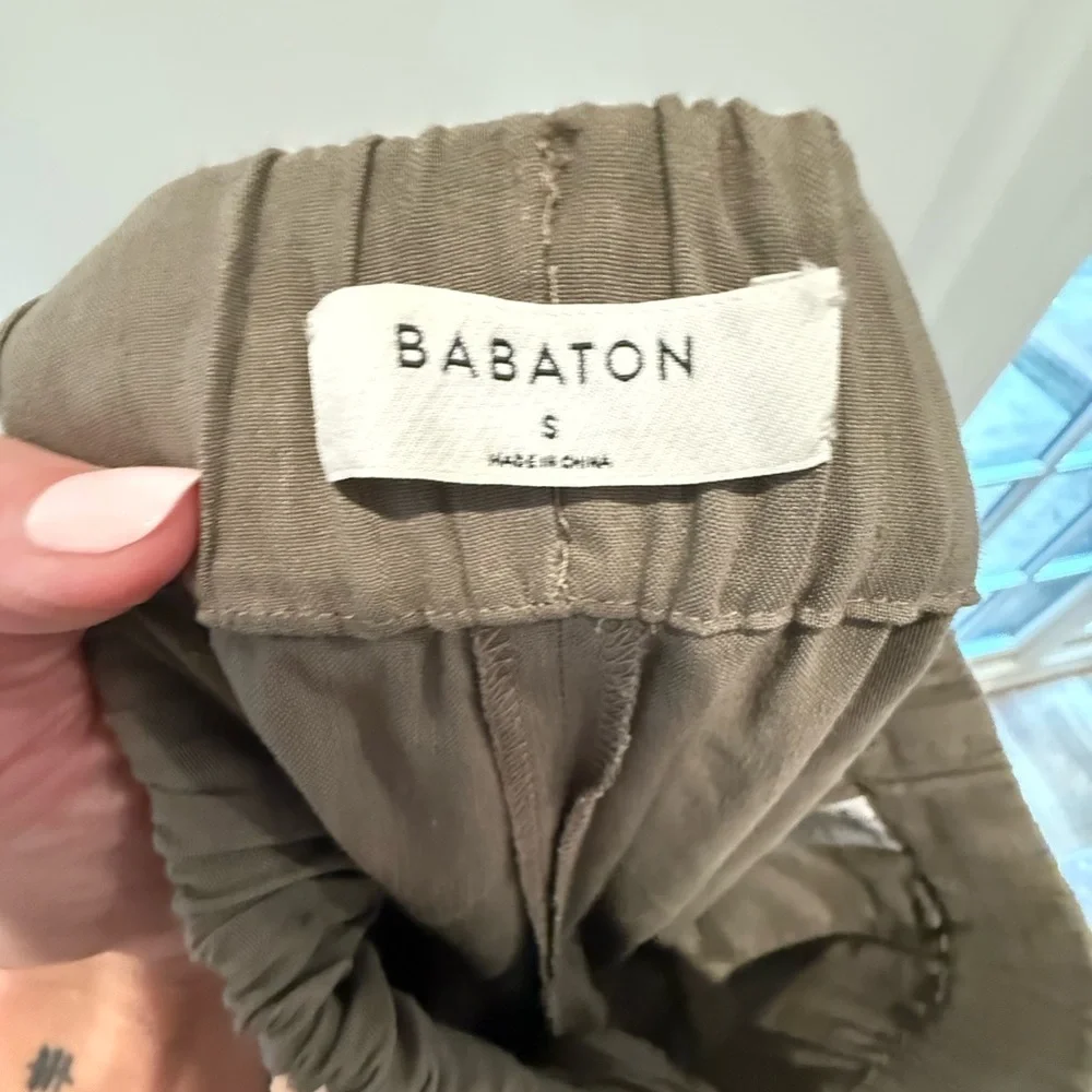 Babaton these pants