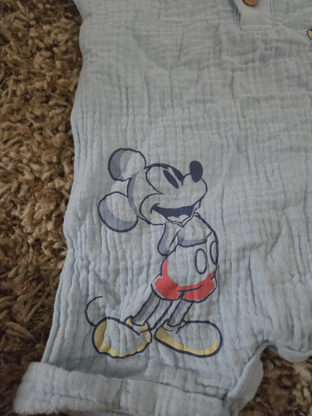 Disney mickey months